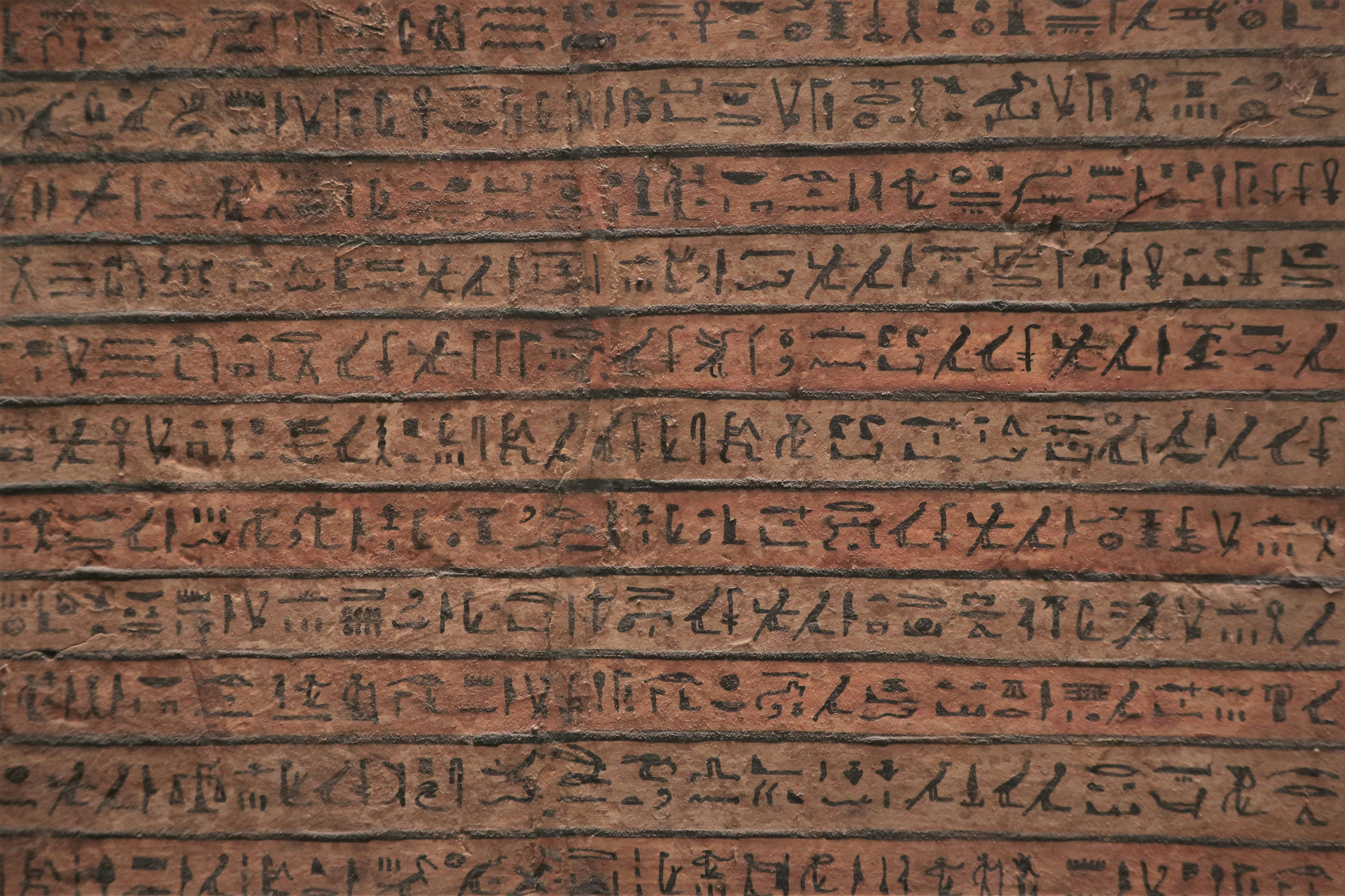 The Knowledge Infrastructure of Civilizations