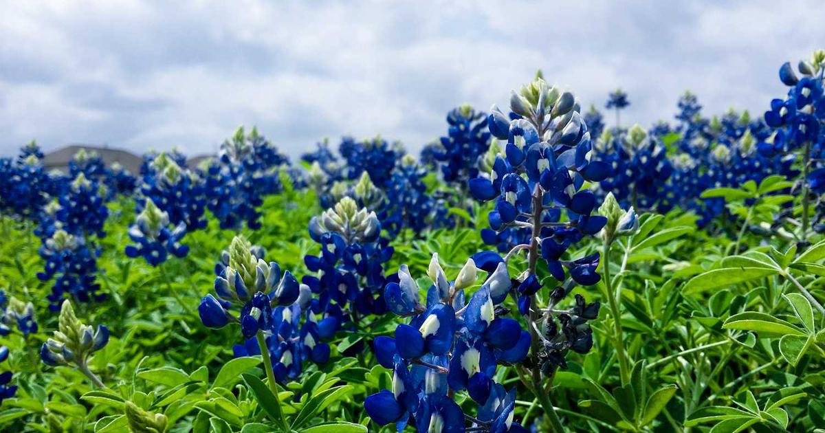 Harnessing HubDocs AI for Advanced Credit Assessment in Commercial Lending