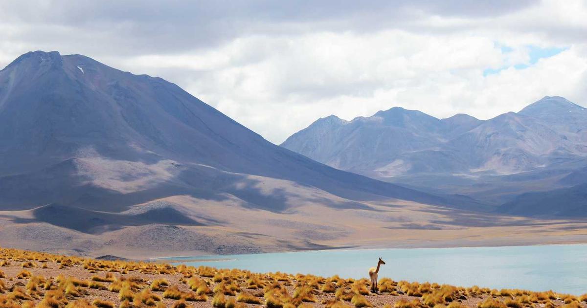 How AI Agents Are Revolutionizing Document Processing and Compliance