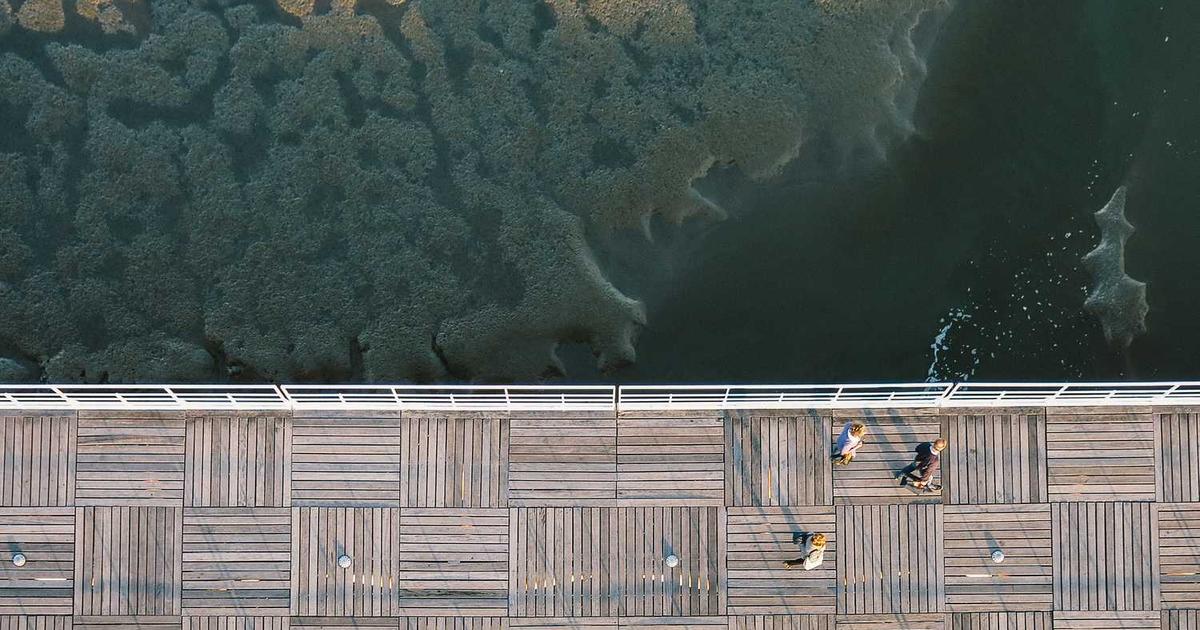 How AI Is Revolutionizing BPO Services: 90% Time Saved in Document Checking