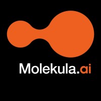 Molekula Blog