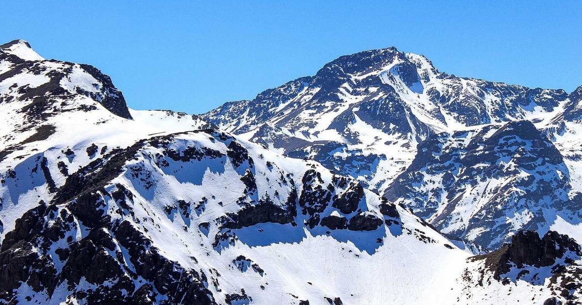 What is Bamboo? Company Overview & Key Details