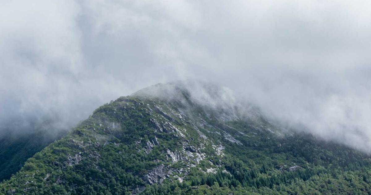 What is Capi Money? - Company Overview & Details