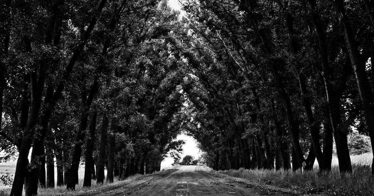 What is Finmark? - Company Overview & Details