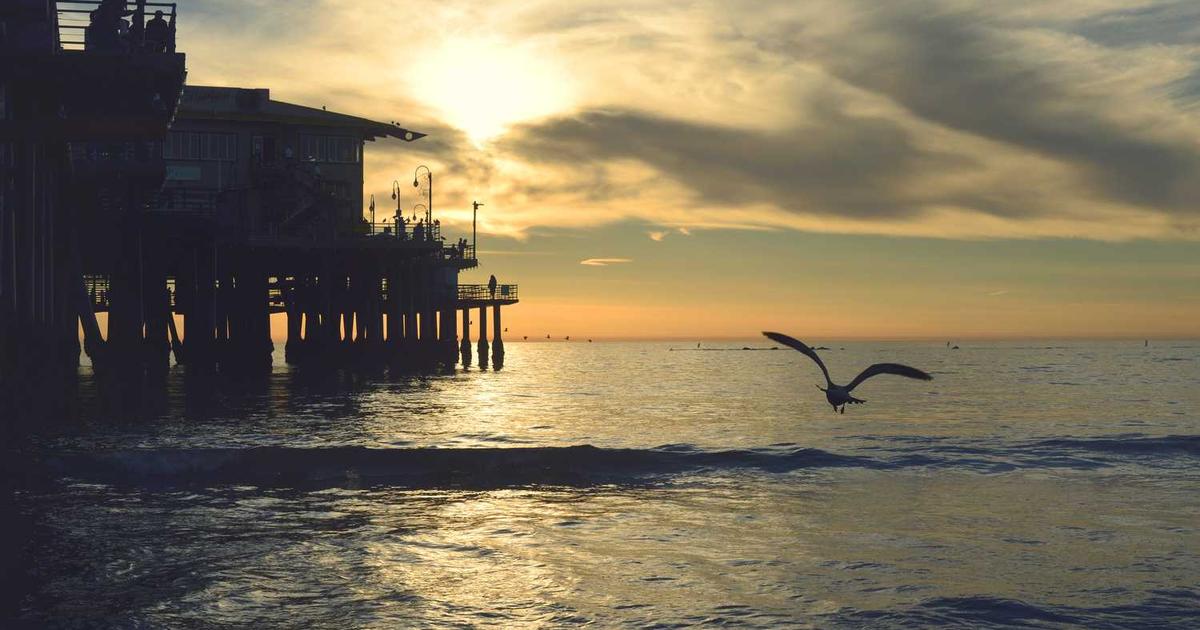 What is GimBooks? - Company Overview & Details