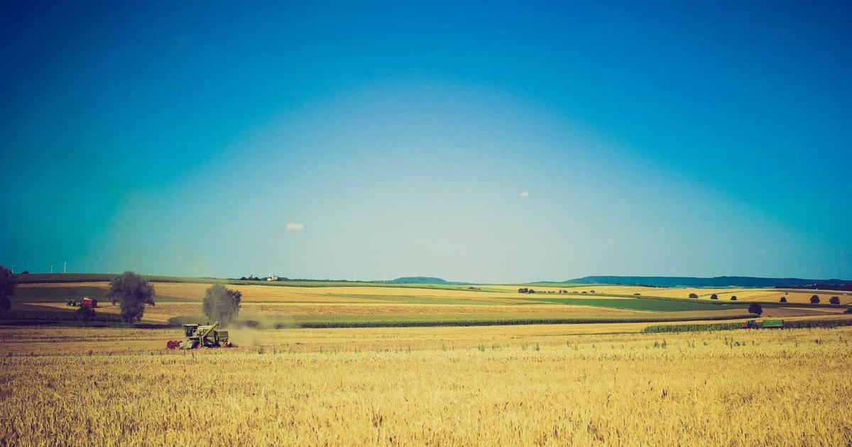 What is Pipe? - Company Overview & Details