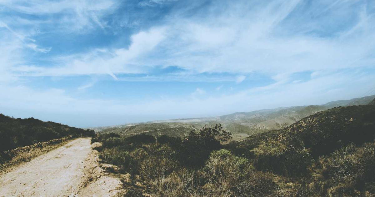 What is Triomics? - Company Overview & Details