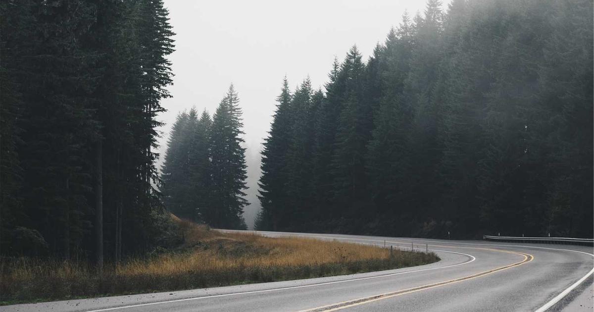 What is Turing College? - Company Overview & Details